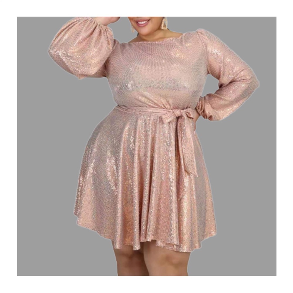 Plus Size Glitzy Glam Dress